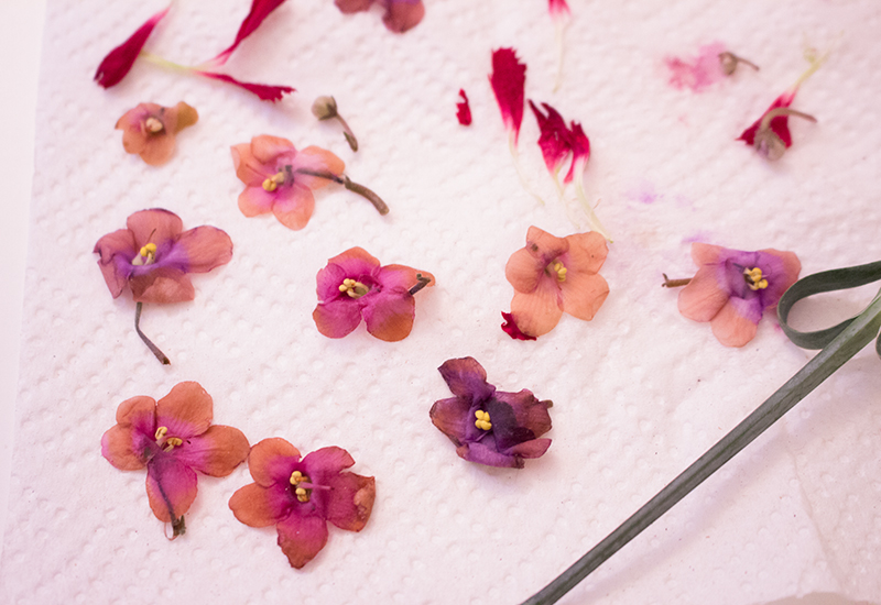 how to make temporary tattoos from dried flowers 4